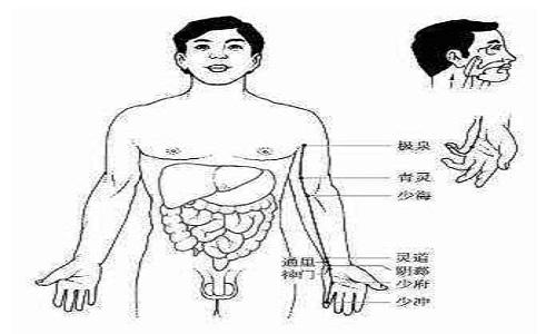 手少阴心经经络图（手少阴心经经络图视频）