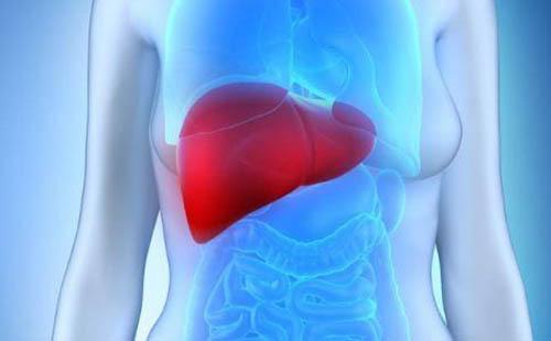 脂肪肝如何治疗(脂肪肝如何治疗吃什么食物)