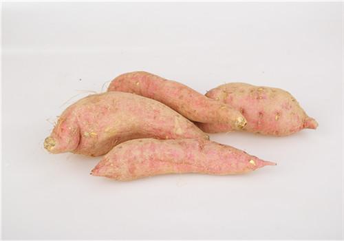 胃病能吃红薯吗（胃病能吃红薯吗有坏处吗）