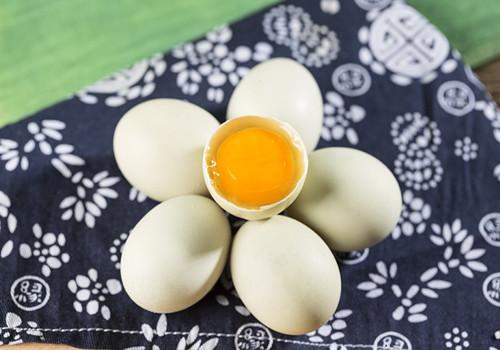 不同蛋类的营养价值 不同蛋类营养功效不同