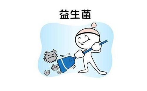 肠胃不好怎么调理（肠胃不好怎么调理老是拉肚子）