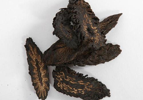 肉苁蓉熬水喝步骤(肉苁蓉熬水熬多长时间)