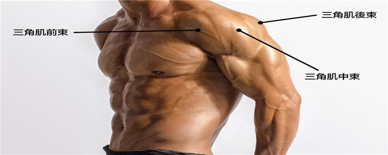 三角肌怎么练都没感觉（三角肌怎么练都没感觉了）