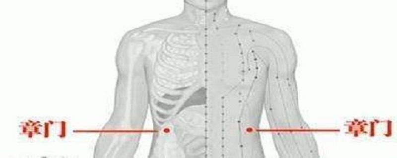 章门针灸方法（章门针灸多少寸）