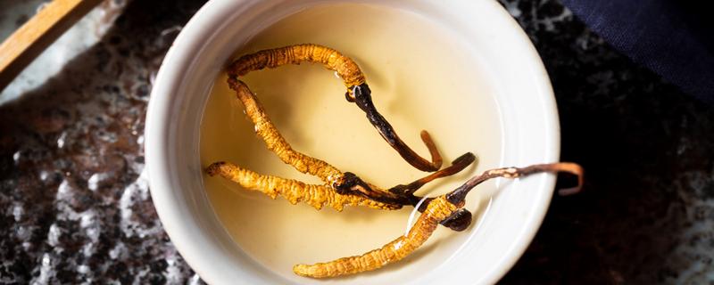 冬虫夏草几天吃一次效果最好 冬虫夏草一次吃几根几天吃一次最好