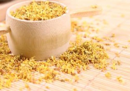 口臭喝什么茶效果最好（上火口臭喝什么茶效果最好）