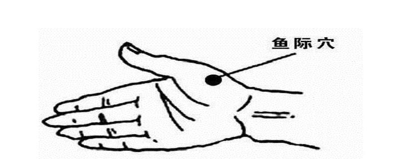 针刺鱼际的作用（针刺鱼际奇效）