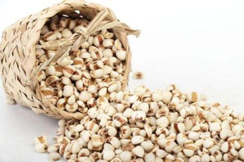薏米有什么功效 炒的薏米有什么功效