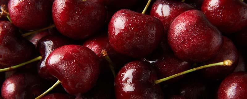 枸杞和樱桃能一起泡酒吗（核桃和枸杞能一起泡酒吗）