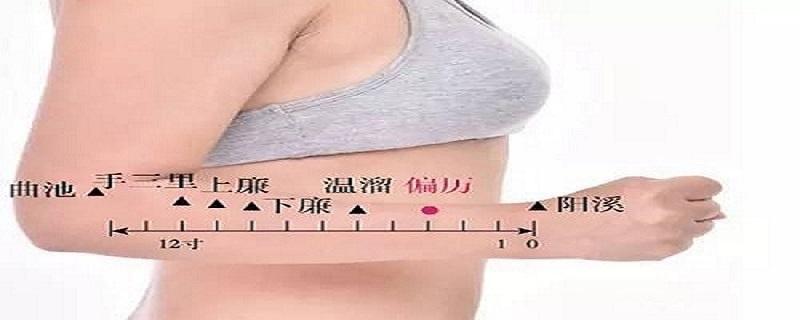 偏历的准确位置图图解 偏历的准确位置图片及作用