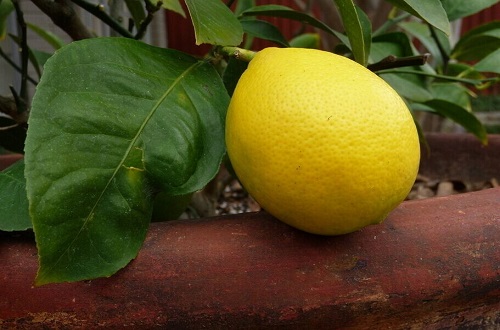 吃什么食物祛斑最有效 吃什么食物祛斑效果好