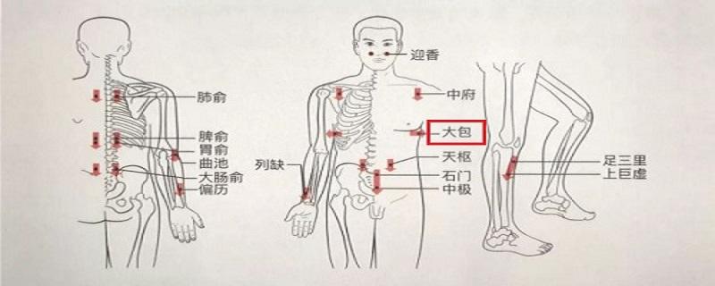 大包的准确位置及功效（大包的准确位置及功效图片）