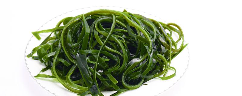 海带是海藻吗 海藻和海带的区别