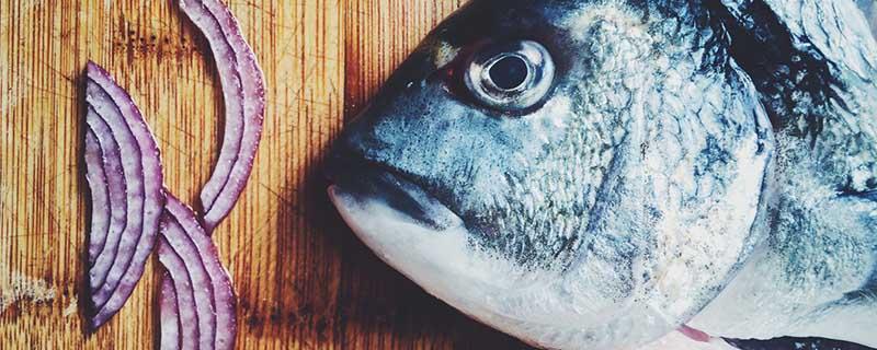 加吉鱼孕妇能吃吗 吉花鱼怀孕能吃嘛