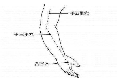 手五里的准确位置图和作用 手五里的准确位置图片图