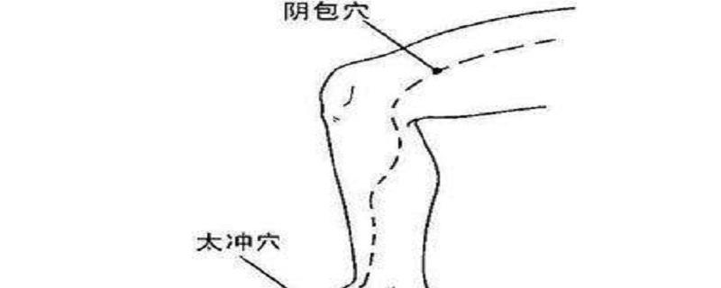 阴包的准确位置怎么找(阴包准确位置图作用)