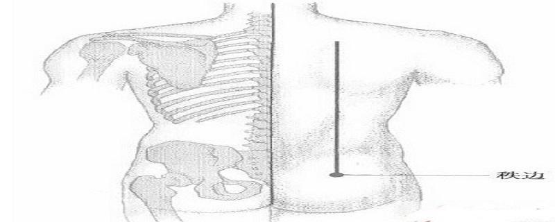 秩边的简易取法（秩边的简易取法,秩边的准确位置图和作用）