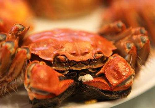 怀孕早期能吃螃蟹吗 早期怀孕可以吃螃蟹吗