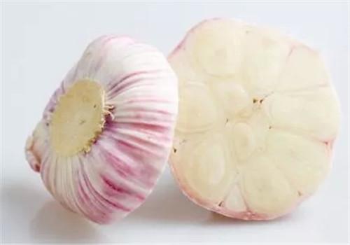 吃大蒜有什么好处 女人吃大蒜有什么好处