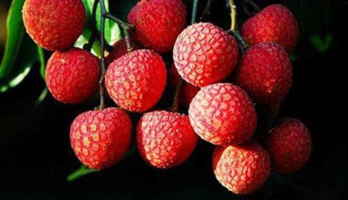 失眠吃什么水果最好 吃什么水果对失眠有效果