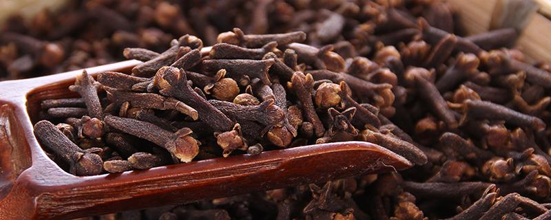 丁香茶和菊花可以一起喝吗 丁香茶和什么搭配喝好