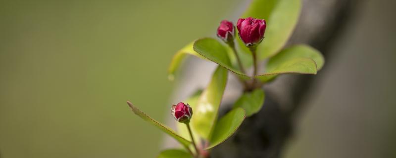 春分在每年的几月几日 春分是在每年的几月几日?