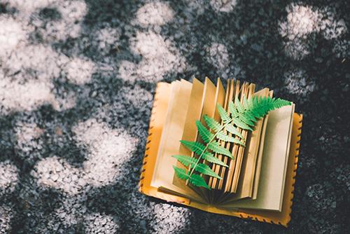 三伏贴贴了皮肤都烂了怎么办（三伏贴烂了效果好吗）