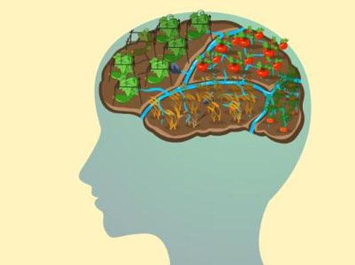 血栓会怎样（孕激素为什么会增加血栓会怎样）