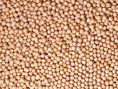 平胸吃什么能大 平胸能吃哪些东西能大了