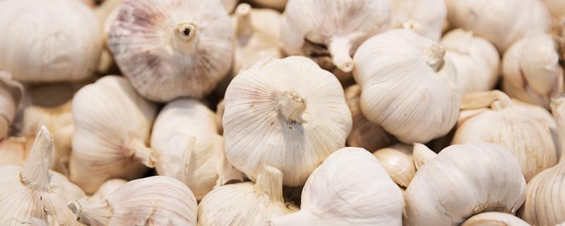 大蒜冰糖水大蒜能吃吗 大蒜冰糖水可以多喝吗