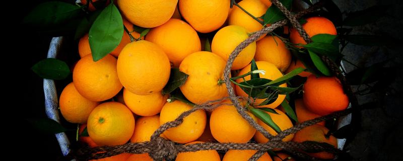 橙子与柚子有什么区别 橙子和柚子哪个营养高