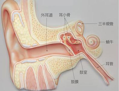 耳朵里面疼是怎么回事 耳朵里面疼是怎么回事用手一碰就疼