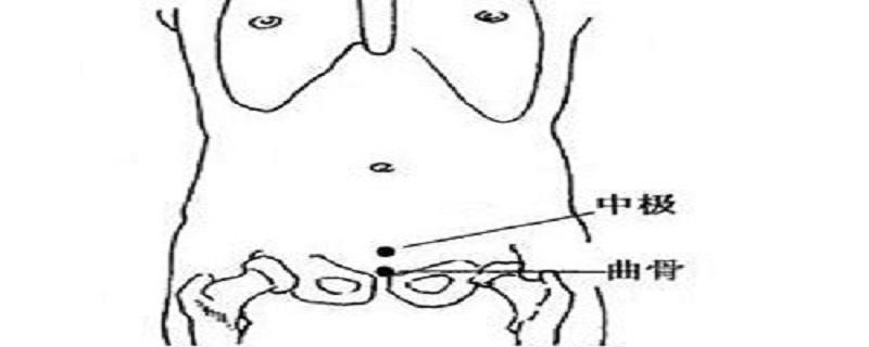 曲骨的准确位置图和作用（曲骨的准确位置图）