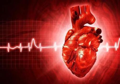 冠心病饮食注意什么 高血脂高血压冠心病饮食注意什么