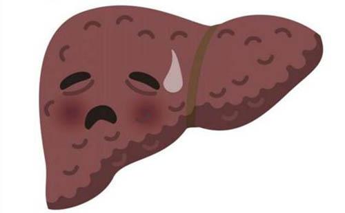 伤肝的食物（伤肝的食物和药物有哪些）