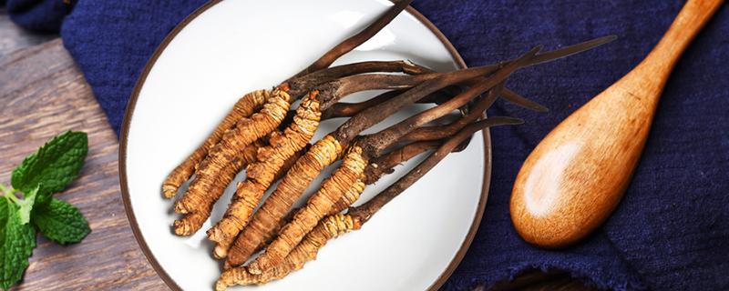 冬虫夏草分几个等级(冬虫夏草分等级吗)