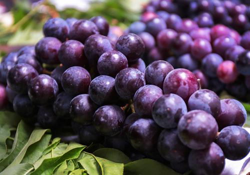 葡萄洗了放冰箱会坏吗 葡萄怎么保存好