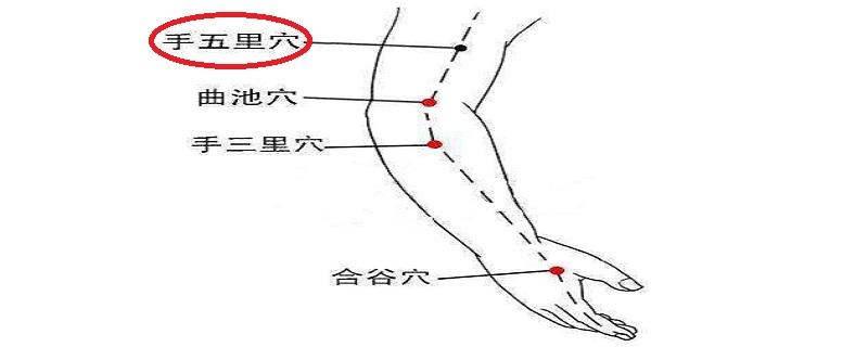 手五里的准确位置图 手三里的准确位置图