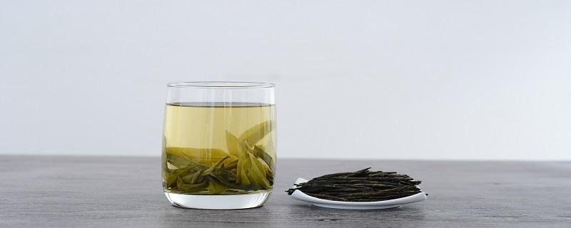 苦丁茶什么样的最好（苦丁茶啥样的最好）