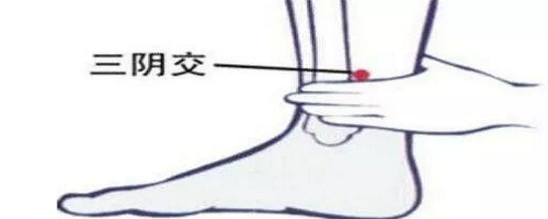 针灸三阴焦的好处（三阴焦能天天针灸吗）
