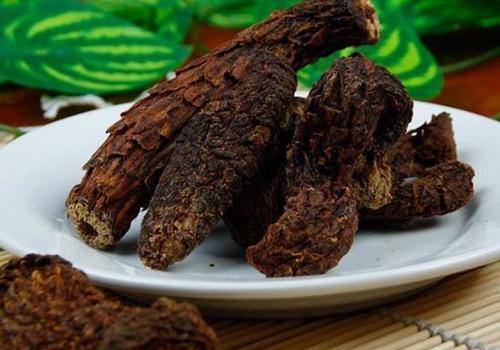 肉苁蓉泡酒能降压吗 肉苁蓉泡酒喝的功效与禁忌