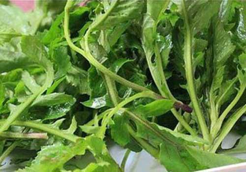 孕妇吃荠菜多久有反应 孕妇吃了荠菜怎么办