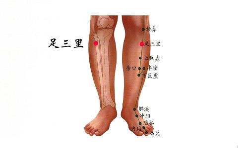 足三里按摩方法 足三里按摩方法视频 养生堂