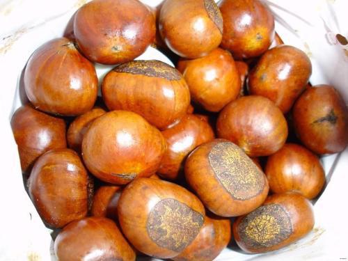 女人补肾的食物有哪些（女人最补肾10种食物）