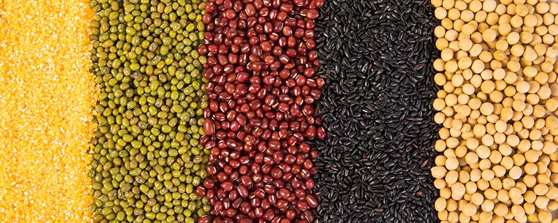 红豆可以打豆浆吗 绿豆和红豆可以打豆浆吗