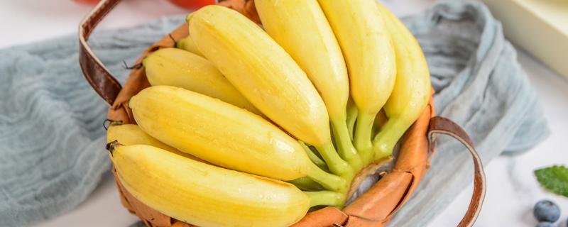 香蕉和红薯能一起吃吗 香蕉和红薯隔多久能吃