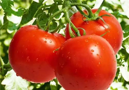 皮肤过敏怎么办 皮肤过敏怎么办才最有效止痒