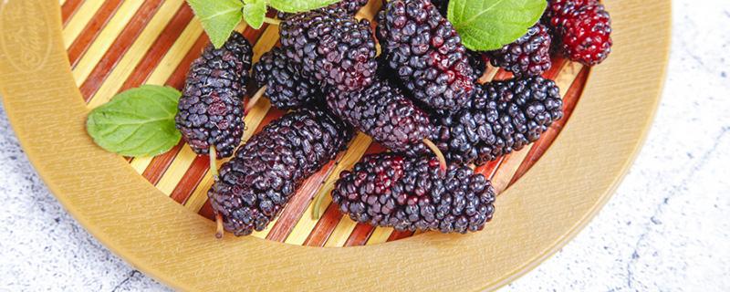 吃桑葚有什么副作用 桑葚有什么食用禁忌
