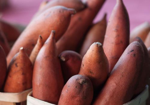 胃炎能吃红薯吗 浅表性胃炎能吃红薯吗