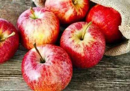 上吐下泻可以吃水果吗（上吐下泻想吃水果）